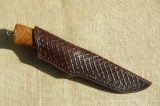 ar50-01
